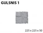GULSNIS 1